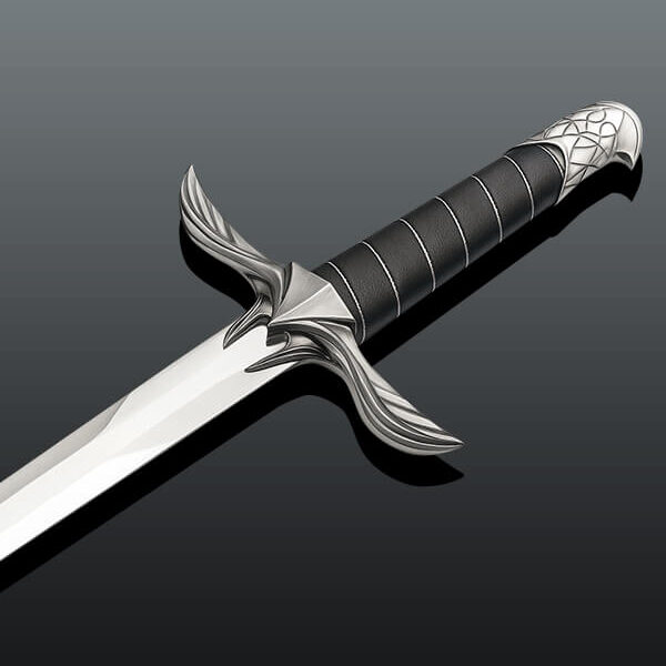 Assassins Creed Sword