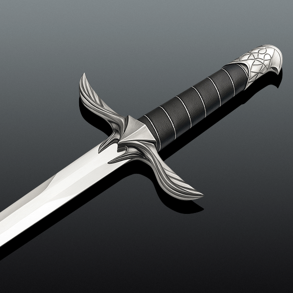 Assassins Creed Sword